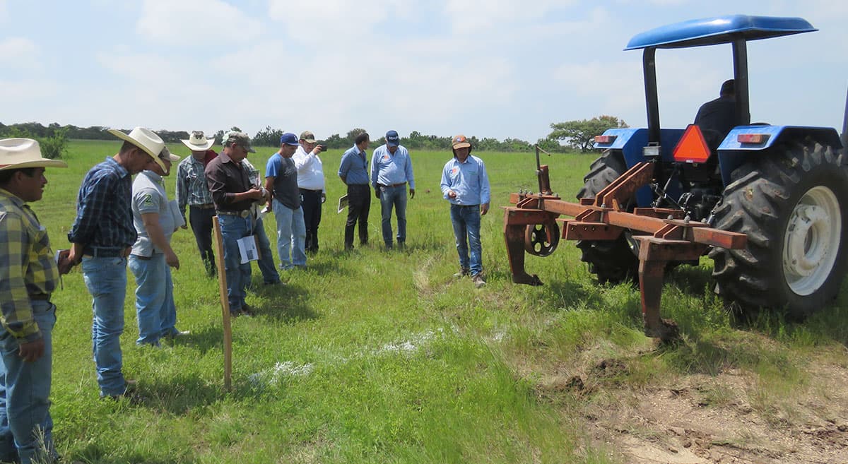 Capacitación MEKATECH a productores