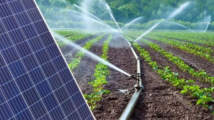 Riego Agrícola Solar